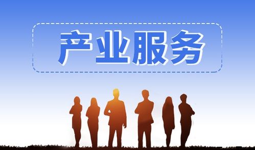 斯百德信息技術咨詢服務 專業智庫支持與產業項目對接